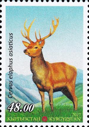 Colnect-4906-407-Asiatic-red-deer-Cervus-elaphus-asiaticus.jpg