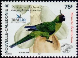 Colnect-858-347-Ouvea-Parakeet-Eunymphicus-uvaeensis.jpg