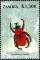 Colnect-2657-578-Flower-Beetle-Fornasinius-russus.jpg