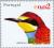 Colnect-182-931-European-Bee-eater-Merops-apiaster.jpg