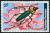 Colnect-6278-074-Longhorn-Beetle-Euporus-strangulatus.jpg