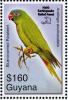 Colnect-4634-628-Blue-crowned-Parakeet----Thectocercus-acuticaudatus.jpg
