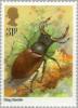 Colnect-122-404-Stag-Beetle-Lucanus-cervus.jpg