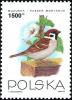 Colnect-3965-690-Eurasian-Tree-Sparrow-Passer-montanus.jpg