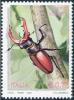 Colnect-852-389-Stag-Beetle-Lucanus-cervus.jpg