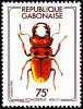 Colnect-1209-605-Stag-Beetle-Homoderus-mellyi.jpg