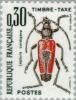 Colnect-147-060-Longhorn-Beetle-Leptura-cordigera-.jpg