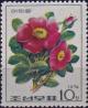 Colnect-3865-926-Aronia-sweet-briar-yellow-centers.jpg