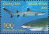 Colnect-4445-408-Whitetip-Reef-Shark-Triaenodon-obesus.jpg