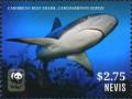 Colnect-4412-968-Caribbean-Reef-Shark-Carcharhinus-perezi.jpg