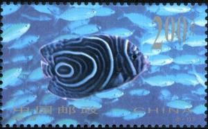 Colnect-1772-892-Emperor-anglefish-Pomocanthus-imperator.jpg