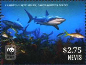 Colnect-4412-969-Caribbean-Reef-Shark-Carcharhinus-perezi.jpg