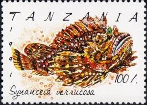 Colnect-5965-974-Reef-Stonefish-Synanceia-verrucosa.jpg