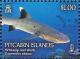 Colnect-4802-730-Whitetip-reef-shark-Triaenodon-obesus.jpg
