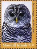 Colnect-5997-819-Rufous-legged-Owl-Strix-rufipes.jpg