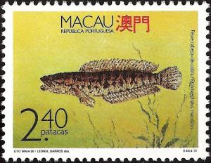 Colnect-1484-477-Blotched-Snakehead--Ophicephalus-maculatus.jpg