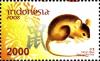 Colnect-1586-984-Holy-Days---Celebrations-Chinese-New-Year.jpg