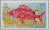 Colnect-2651-319-Horned-Squirrelfish-Sargocentron-cornutum-.jpg