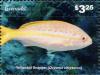 Colnect-6036-356-Yellotail-snapper.jpg