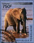 Colnect-4441-724-Elephas-maximus.jpg