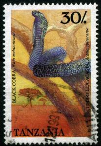 Colnect-1908-095-Forest-Cobra-Naja-melanoleuca-Acacia-Acacia-spirocarpa.jpg