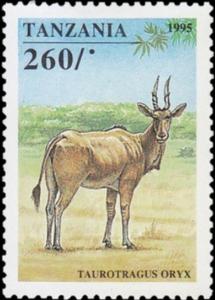 Colnect-5513-409-Common-Eland-Taurotragus-oryx.jpg