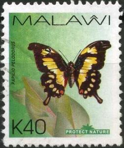 Colnect-2277-957-Eastern-Black-and-yellow-Swallowtail-Papilio-pelodorus.jpg