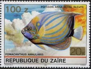 Colnect-1132-654-Bluering-Angelfish-Pomacanthus-annularis.jpg