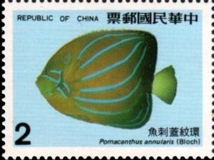 Colnect-2767-780-Bluering-Angelfish-Pomacanthus-annularis.jpg