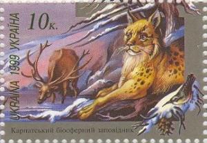 Colnect-592-188-Red-Deer-Cervus-elaphus-Eurasian-Lynx-Lynx-lynx.jpg