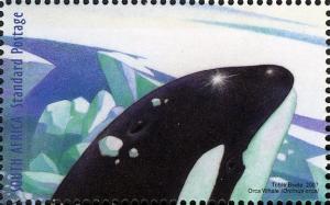 International-Polar-and-Heliophysical-Orca-Whale.jpg