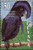 Colnect-1664-190-Amazonian-Umbrellabird-Cephalopterus-ornatus.jpg