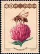 Colnect-1966-078-Bee-Apis-mellifera-collecting-pollen.jpg