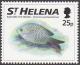 Colnect-2529-880-St-Helena-damselfish-Chromis-sanctaehelenae.jpg