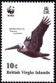 Colnect-2722-908-Brown-Pelican--Pelecanus-occidentalis-in-flight.jpg
