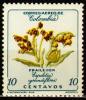 Colnect-3220-330-Espeletia-grandiflora.jpg