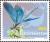 Colnect-5639-636-Beautiful-Demoiselle-Calopteryx-virgo.jpg