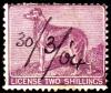 1904_Dog_licence_stamp.jpg