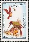 Colnect-1624-227-European-Green-Woodpecker-Picus-viridis.jpg