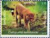 Colnect-3646-099-Asian-Golden-Cat-Profelis-temmincki.jpg