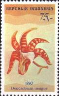 Colnect-1138-353-Dendrobium-insigne.jpg