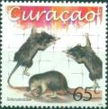 Colnect-3523-405-Cuban-Solenodon-Solenodon-cubanus.jpg