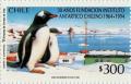 Colnect-560-201-Gentoo-Penguin-Pygoscelis-papua.jpg