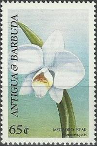 Colnect-1761-279-Phalaenopsis-Medford-Star.jpg