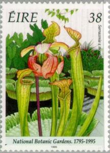 Colnect-129-280-National-Botanic-Gardens-1795-1995---Sarracenia-x-moorei.jpg