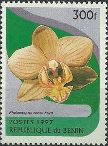 Colnect-1801-817-Phalaenopsis-Christi-floyd.jpg