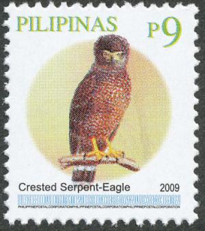 Colnect-2875-324-Phillipine-Serpent-eagle-Spilornis-holospilus.jpg