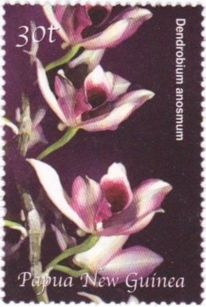Colnect-2923-713-Dendrobium-anosmum.jpg