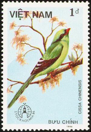 Colnect-5174-516-Common-Green-Magpie-Cissa-chinensis.jpg