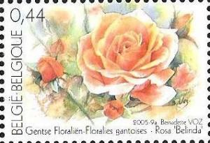 Colnect-567-759-Floralia-of-Ghent-Rosa--quot-Belinda-quot-.jpg